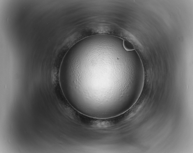 X0000094060073200710191109