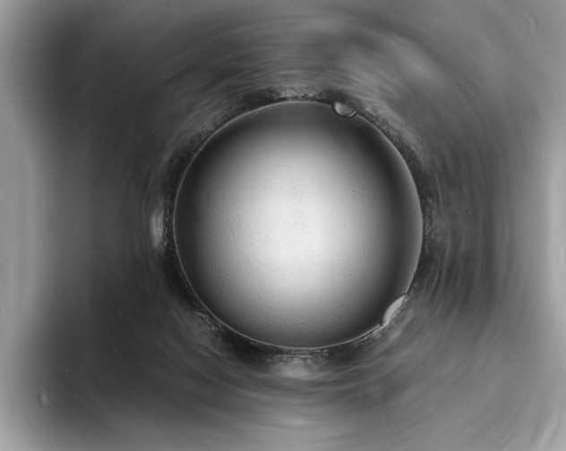 X0000094060074200710191109