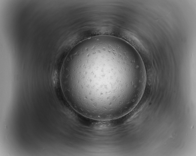 X0000094060077200710191109