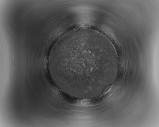 X0000094060078200710191109