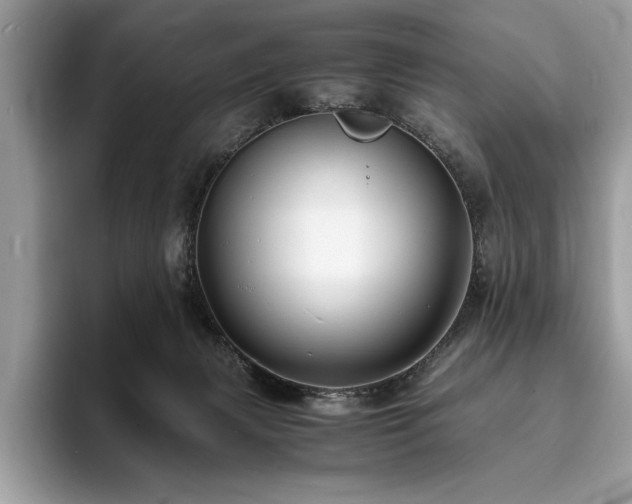 X0000094060079200710191109