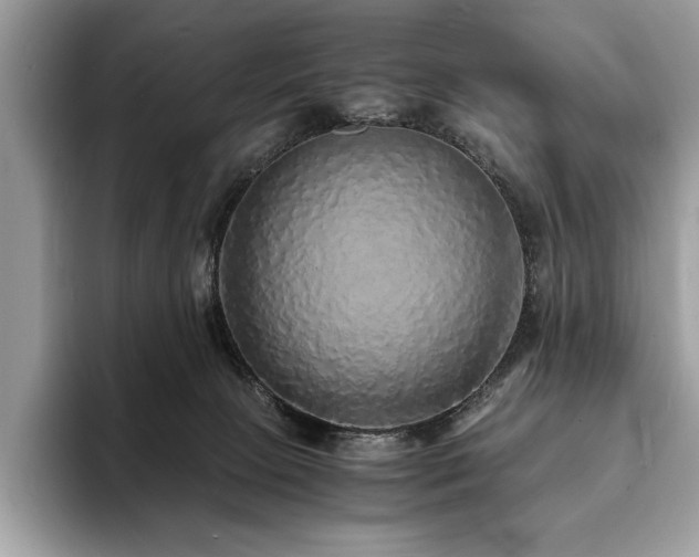 X0000094060081200710191109