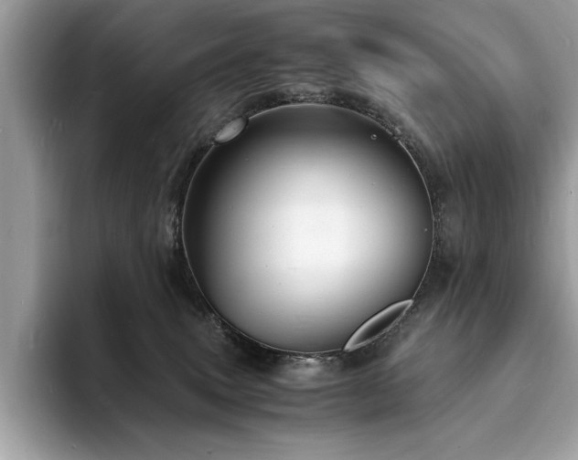 X0000094060083200710191109