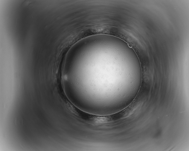 X0000094060085200710191109