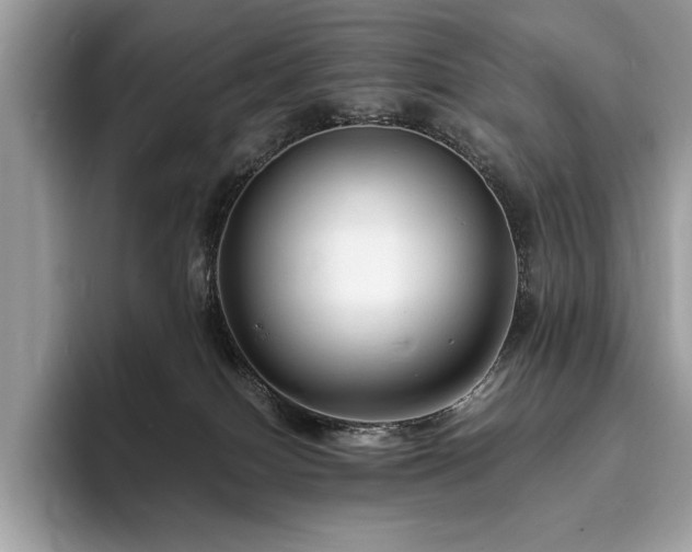 X0000094060086200710191109