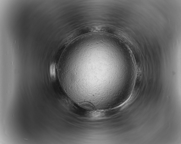 X0000094060094200710191109