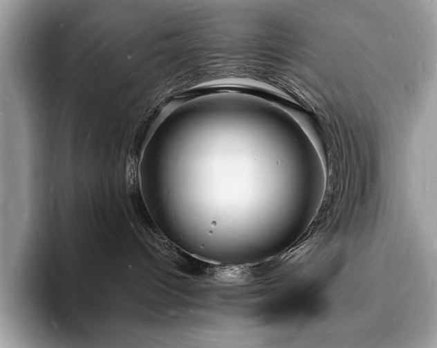 X0000094060096200710191109