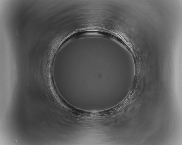 X0000094060097200710191109