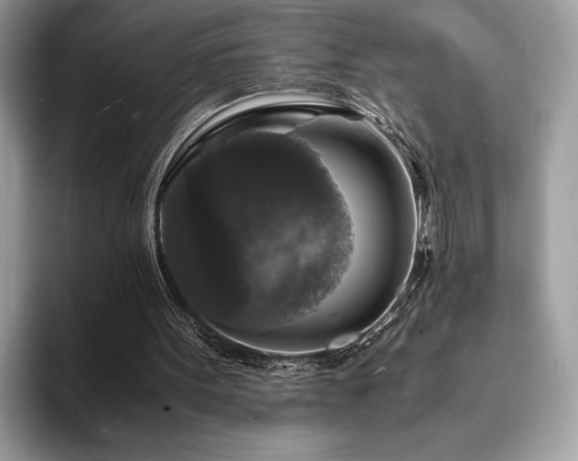 X0000094060099200710191109