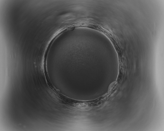 X0000094060100200710191109