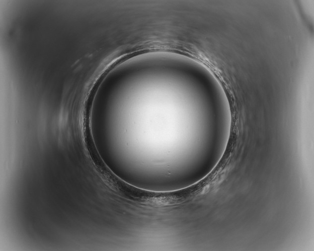 X0000094060103200710191109