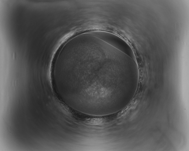 X0000094060104200710191109