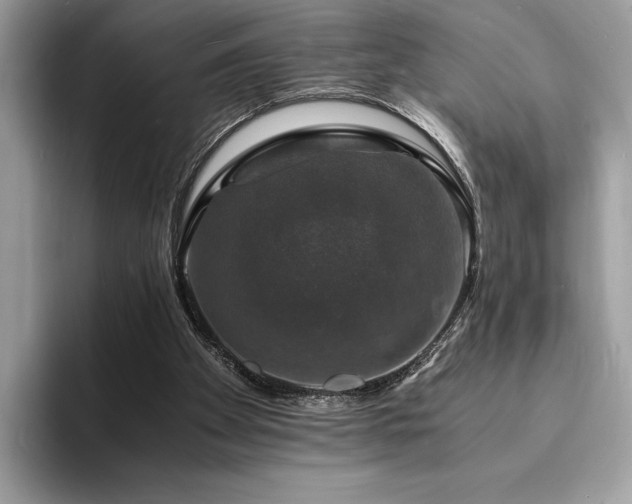 X0000094060105200710191109