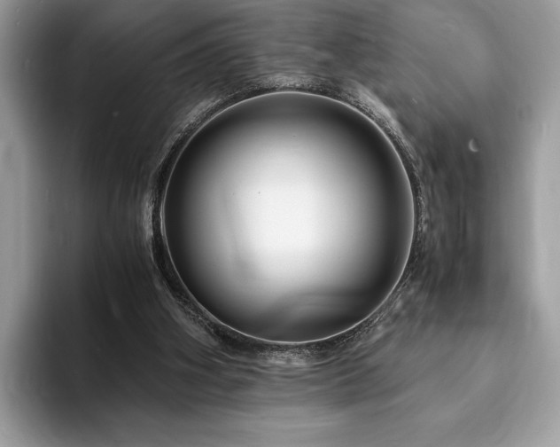 X0000094060106200710191109