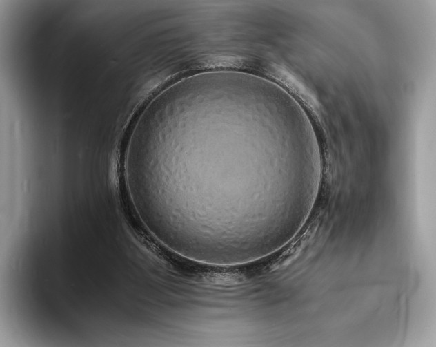 X0000094060107200710191109