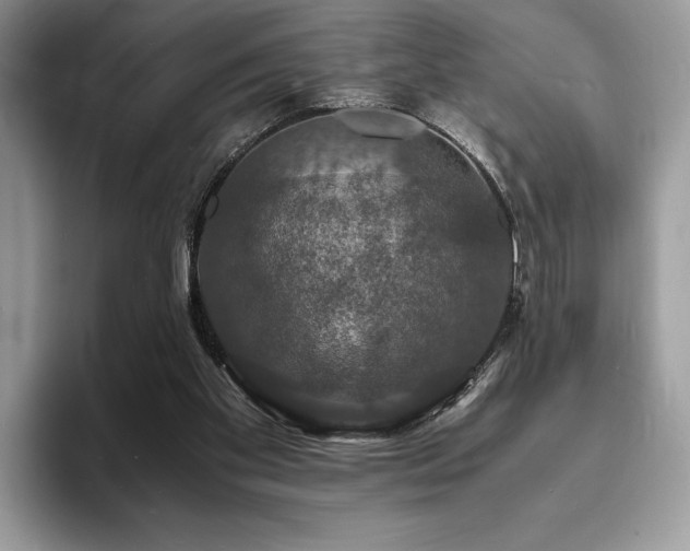X0000094060109200710191108