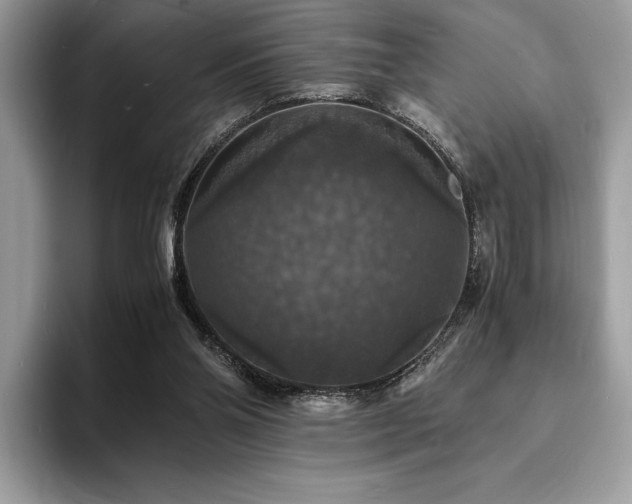 X0000094060110200710191108