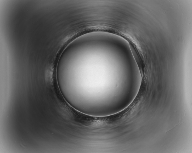 X0000094060111200710191108