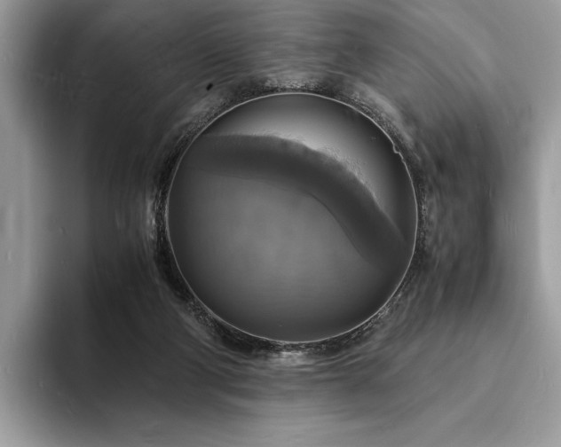 X0000094060114200710191108