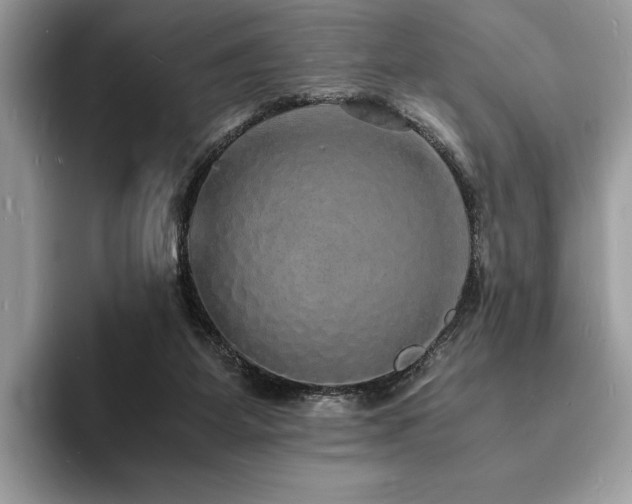 X0000094060115200710191108