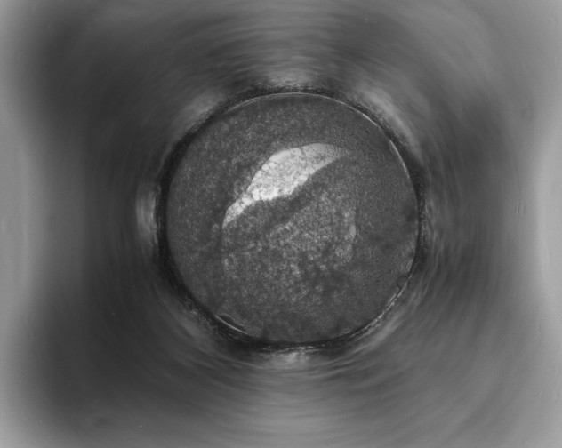 X0000094060116200710191108
