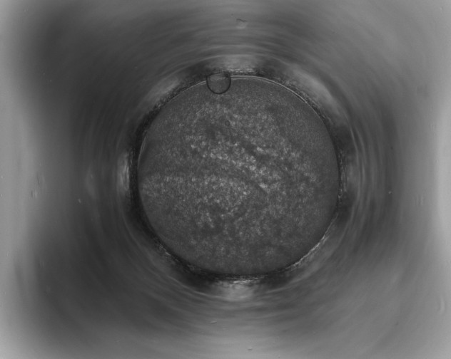 X0000094060120200710191108