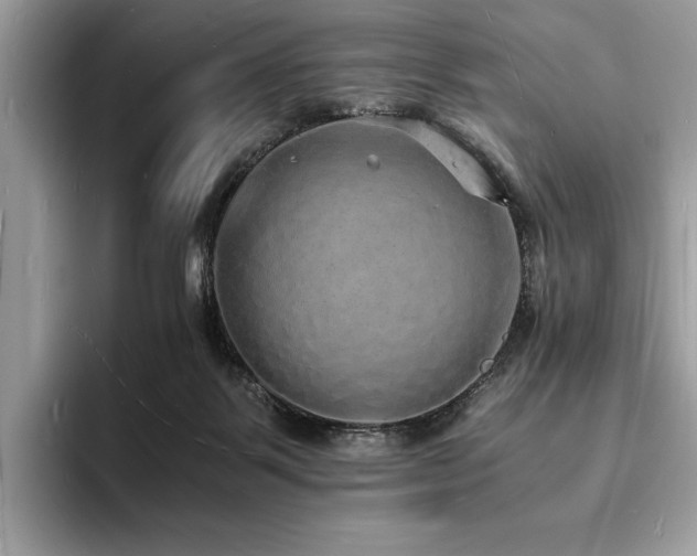 X0000094060123200710191108