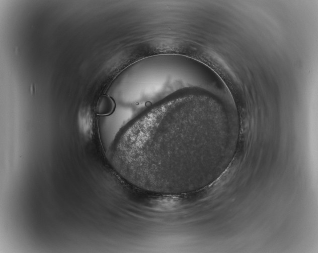 X0000094060124200710191108