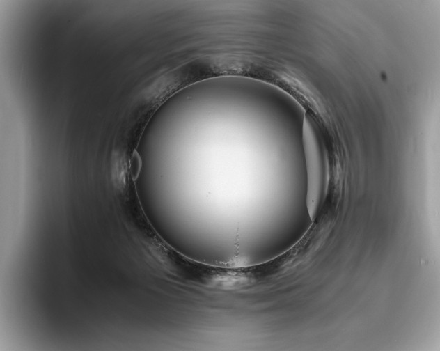 X0000094060125200710191108