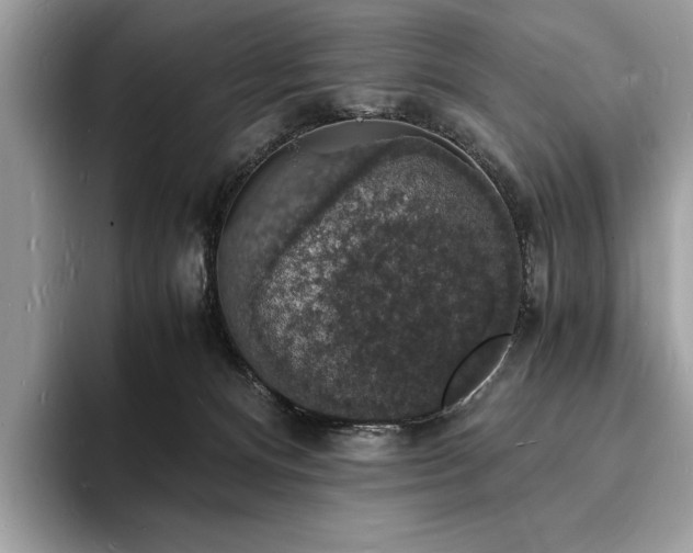 X0000094060128200710191108