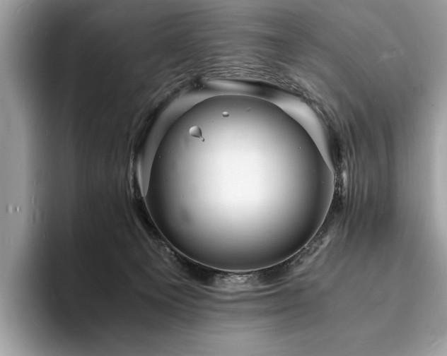 X0000094060129200710191108