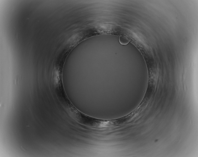 X0000094060130200710191108
