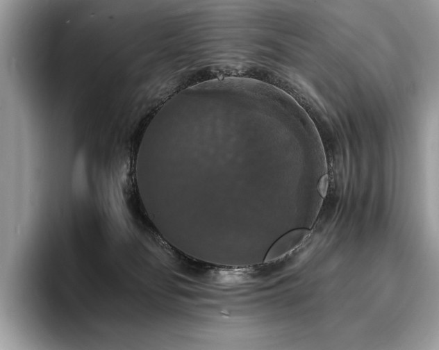 X0000094060134200710191108