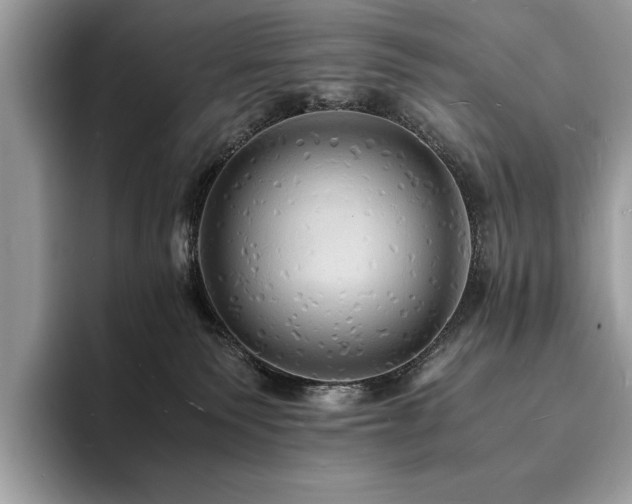 X0000094060135200710191108