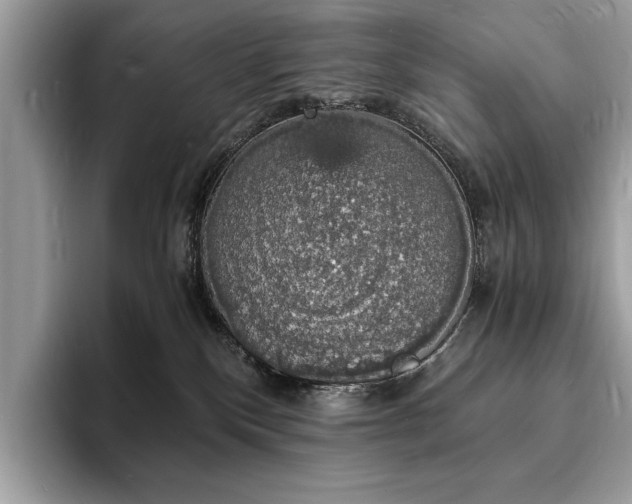 X0000094060136200710191108