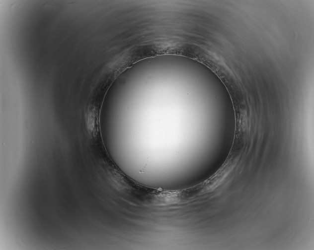 X0000094060138200710191108