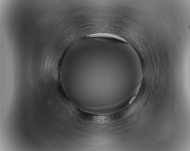 X0000094060139200710191108