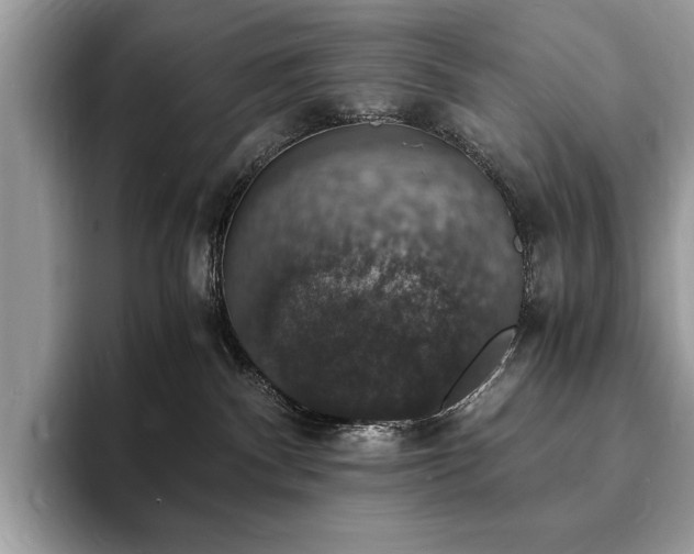X0000094060140200710191108