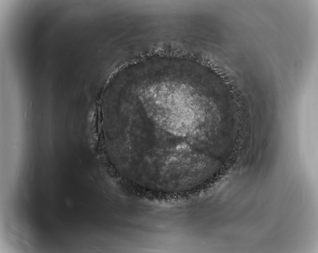 X0000094060144200710191108