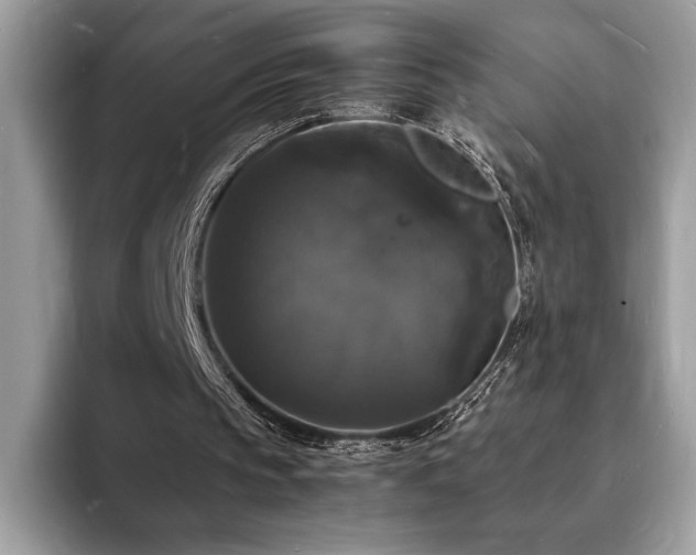 X0000094060145200710191108
