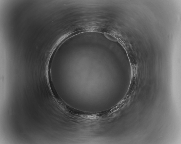 X0000094060147200710191108