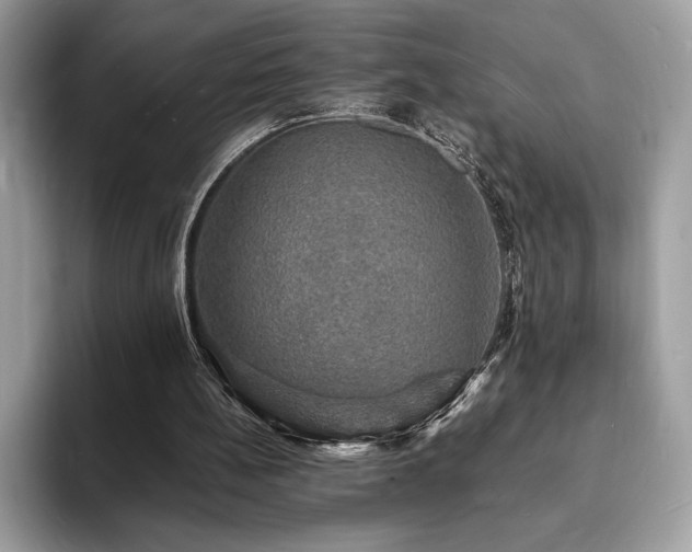 X0000094060148200710191108