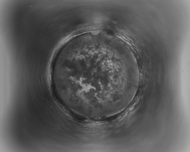 X0000094060149200710191108