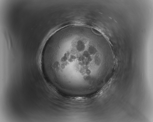 X0000094060151200710191108
