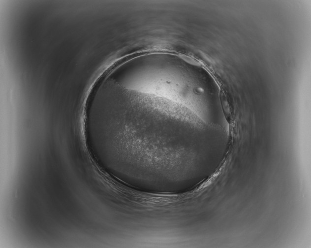 X0000094060152200710191108