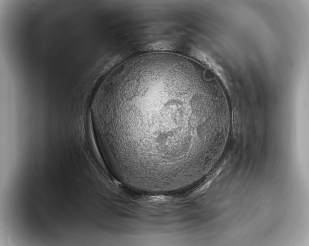 X0000094060153200710191108