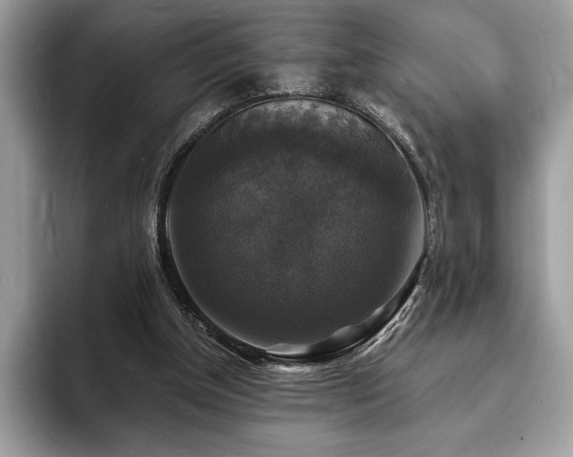 X0000094060154200710191108