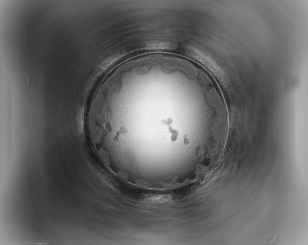 X0000094060155200710191108
