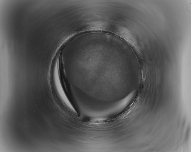 X0000094060156200710191108