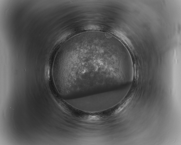 X0000094060157200710191108
